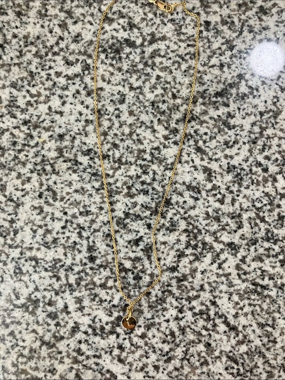 Boutique Letter L Necklace for Women - Polished Gold Pendant
